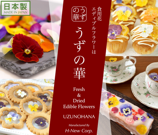 「うずの華」の2025年版カタログができました
