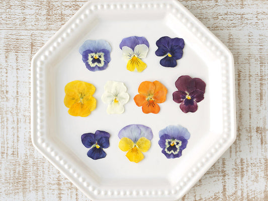 【うずの華】食べるおしばな ご利用ガイド