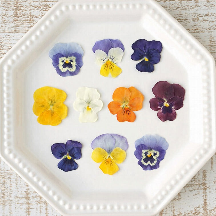 【おまとめ割引】食べるおしばな・50枚