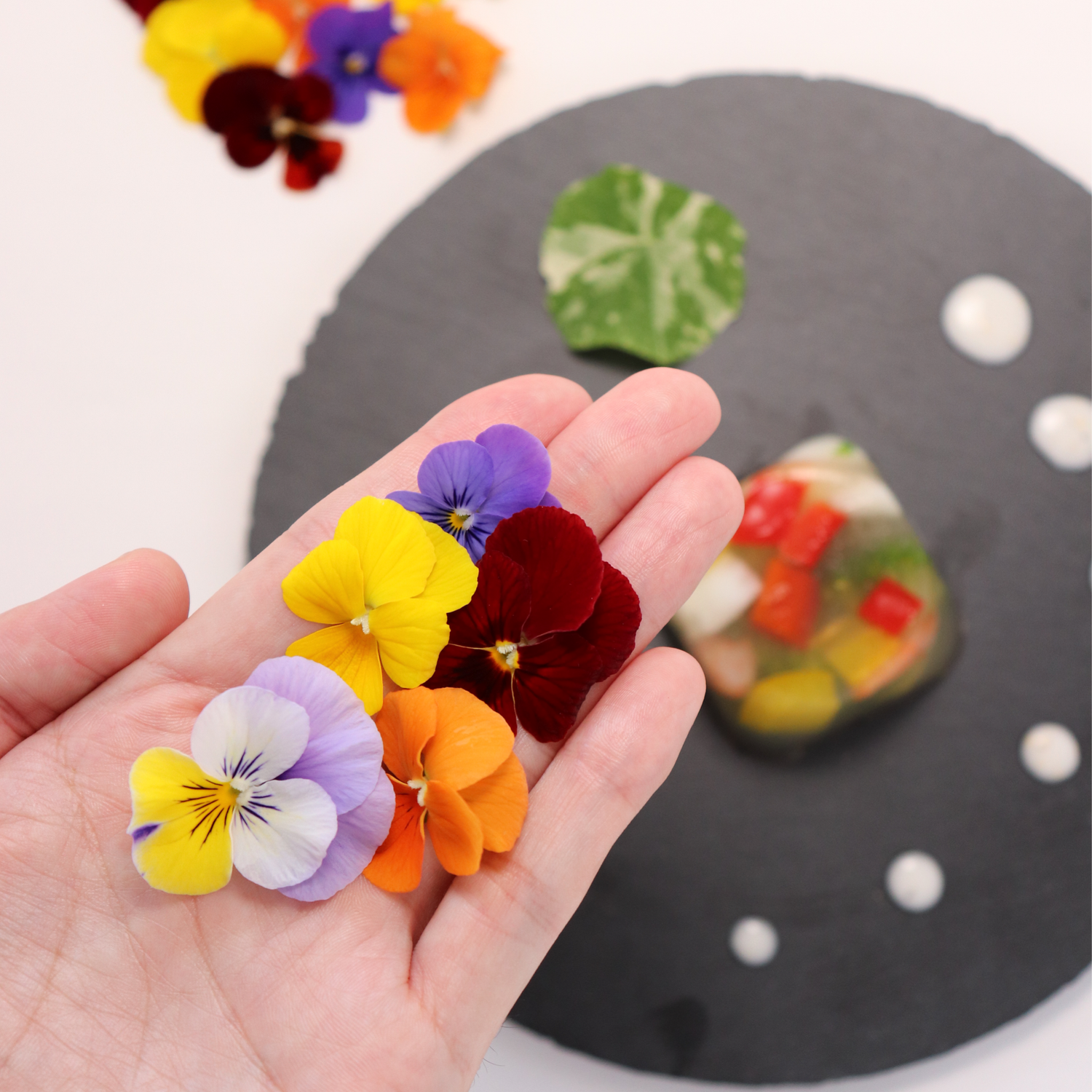 うずの華 エディブルフラワー 食用花