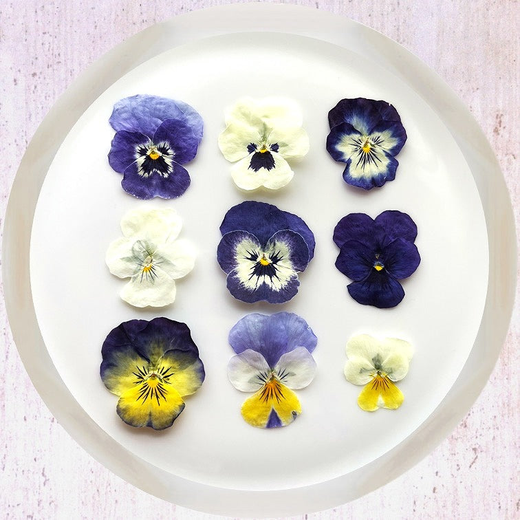 【5%OFF! おまとめ5】うずの華 食べるおしばな ビオラ(50枚×5パック)