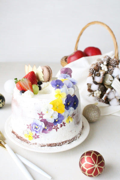 【20%OFF! おまとめ20】うずの華 食べるおしばな ビオラ(50枚×20パック)