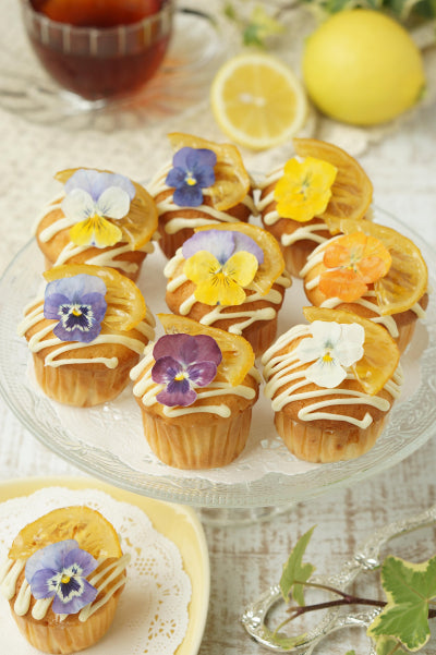 【5%OFF! おまとめ5】うずの華 食べるおしばな ビオラ(50枚×5パック)