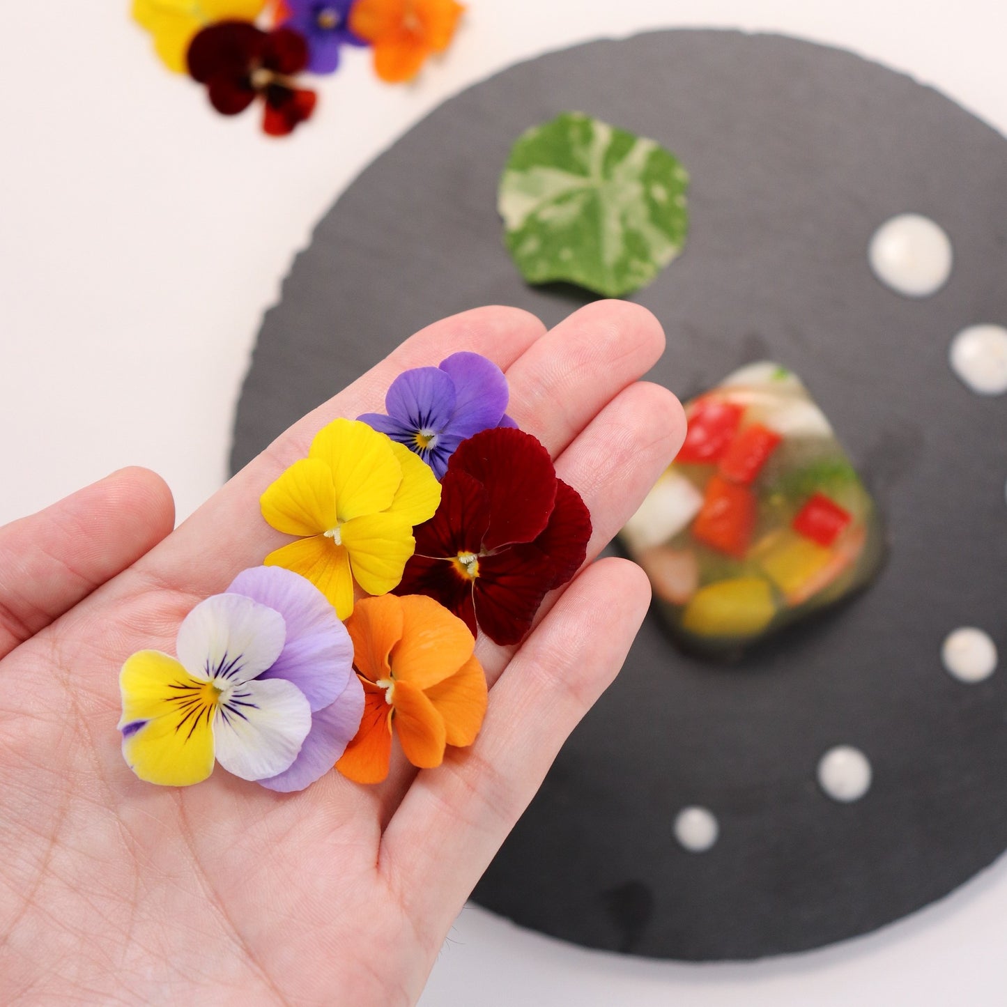 うずの華 食用花 エディブルフラワー ビオラ・Mix
