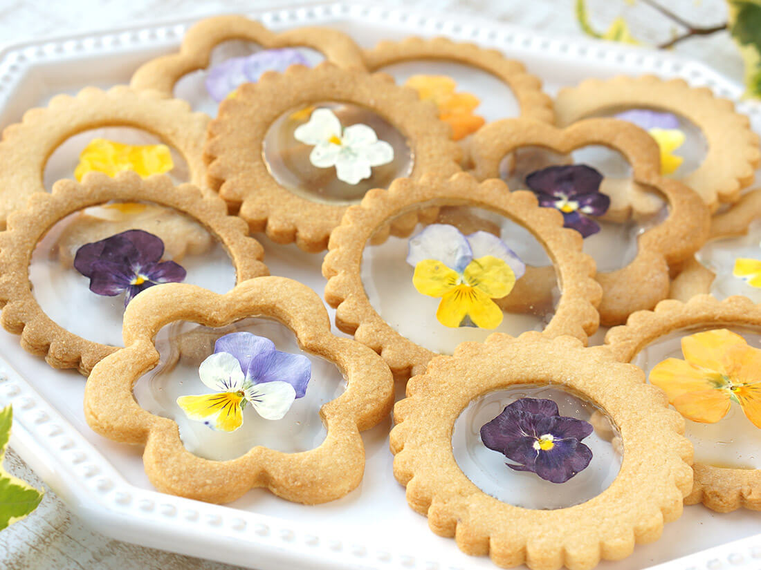 【送料無料】うずの華 食べるおしばな ビオラ