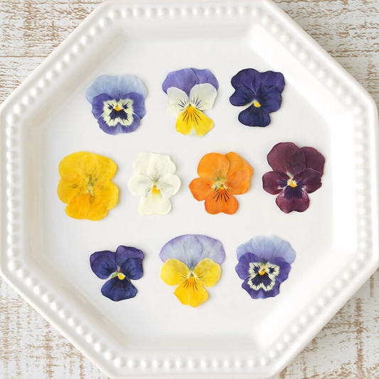 【5%OFF! おまとめ5】うずの華 食べるおしばな ビオラ(50枚×5パック)