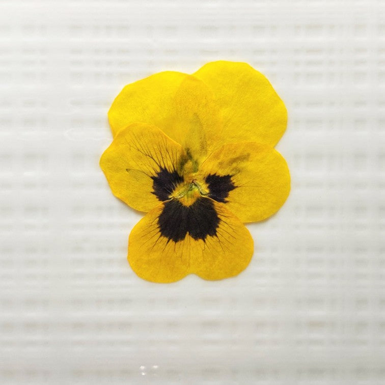 Uzunohana Dried Edible Flowers Viola