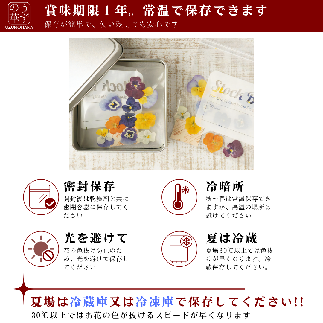 【送料無料】うずの華 食べるおしばな ビオラ