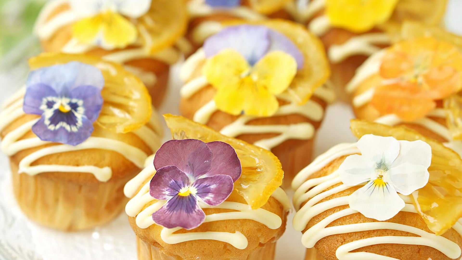 Chocolate Lemonade Muffin