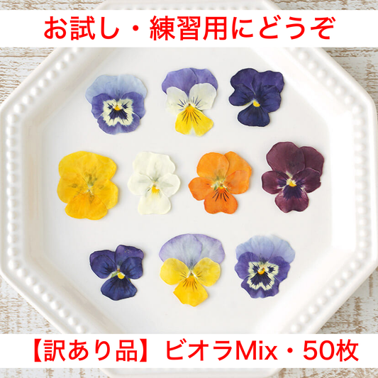 【練習用にどうぞ】うずの華 食べるおしばな ビオラMix・50枚＜訳あり品＞